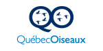 quebecoiseaux-1731507663